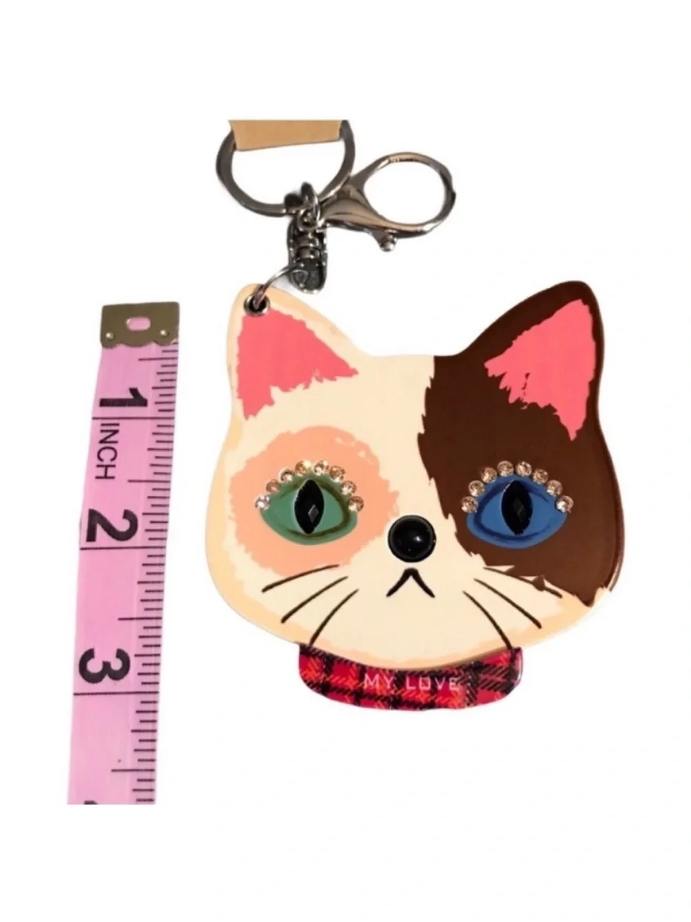 N/A cute cat